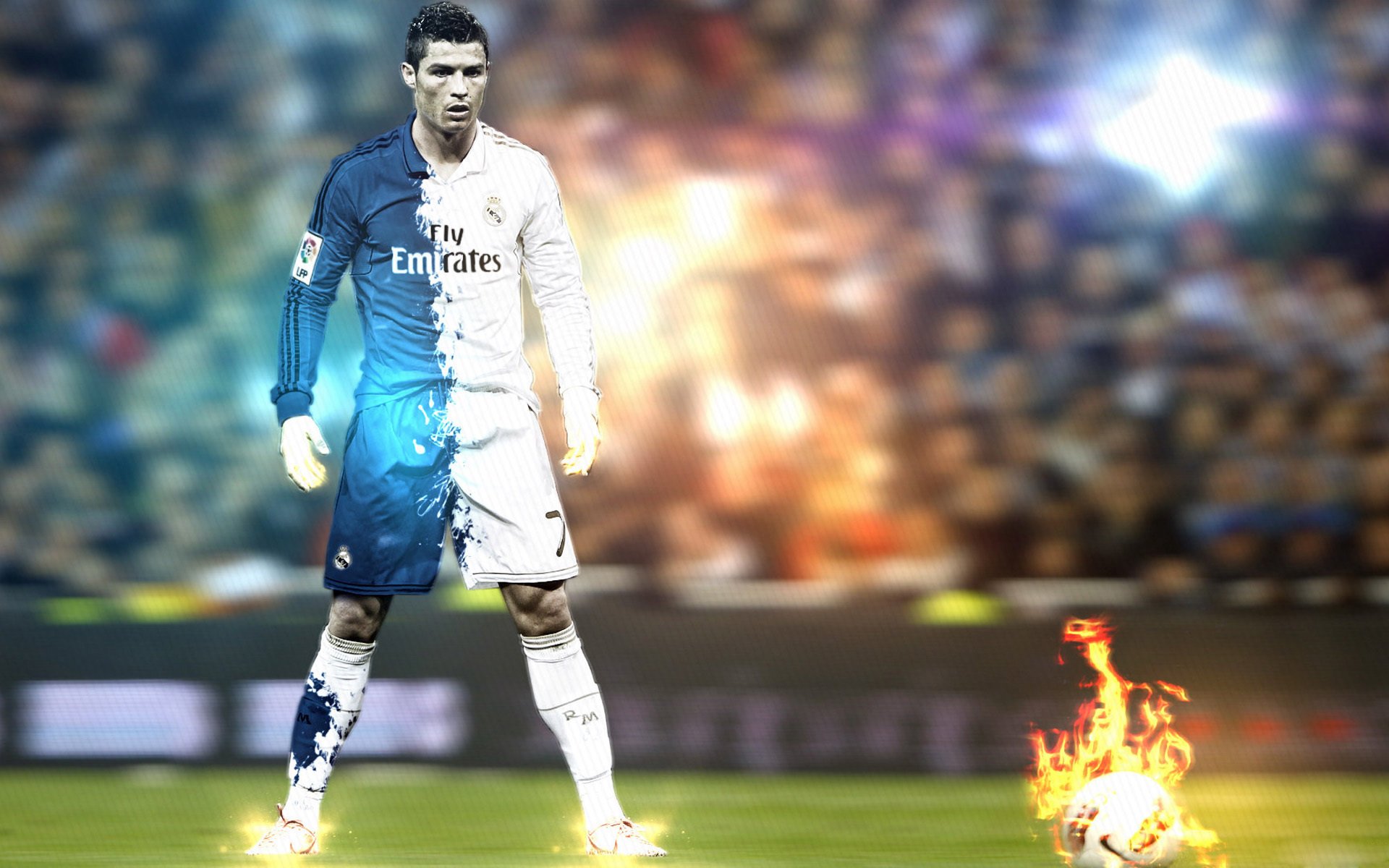 大型森林高空绳索探索，刺激十足的极限体验，高空绳索训练架